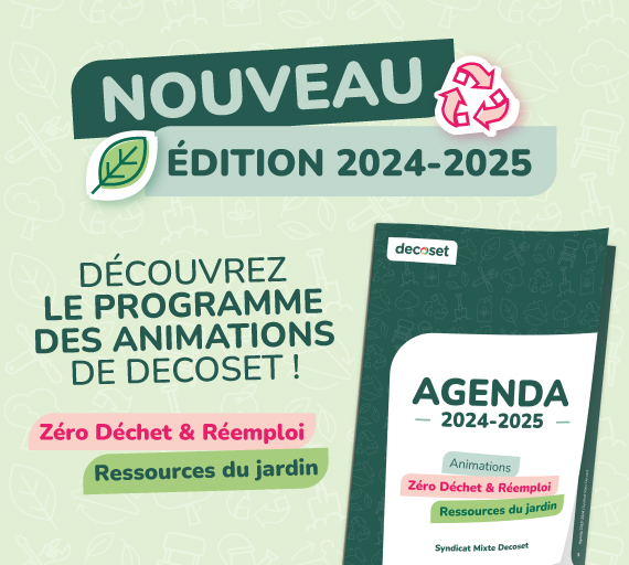 Animations : la saison 2024-2025 est lancée ! 