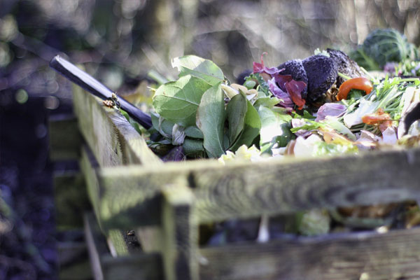  Les clés pour réussir son compost 