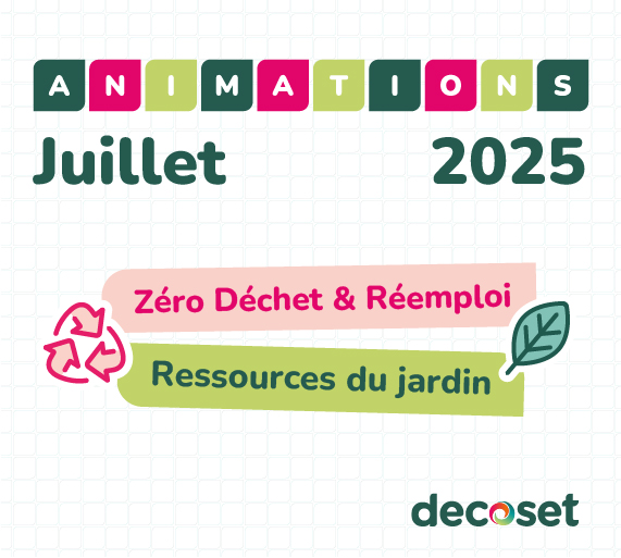 Juillet 2025 : Nos ateliers et visites 