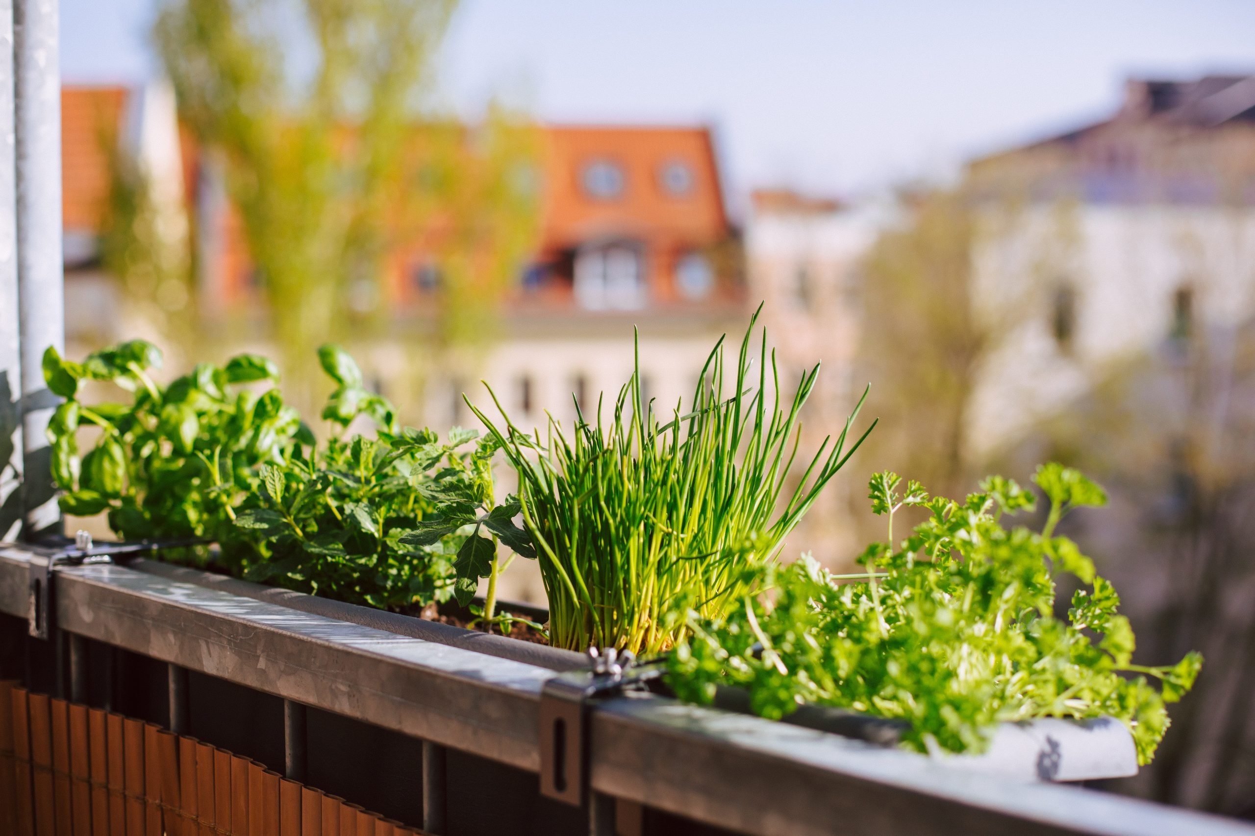 Guide : composter sur son balcon